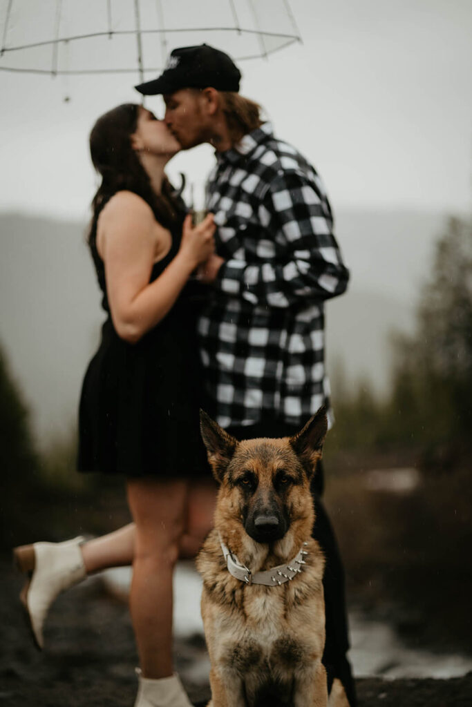 Couple kissing under a clear umbrella during engagement photo session