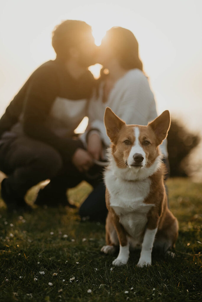 Engagement photos with dog at Cannon Beach, Oregon