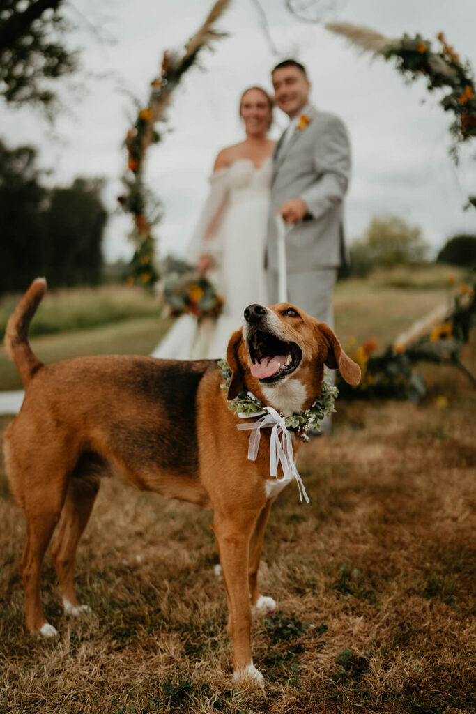 Bride and groom couple portraits at wedding in Washington