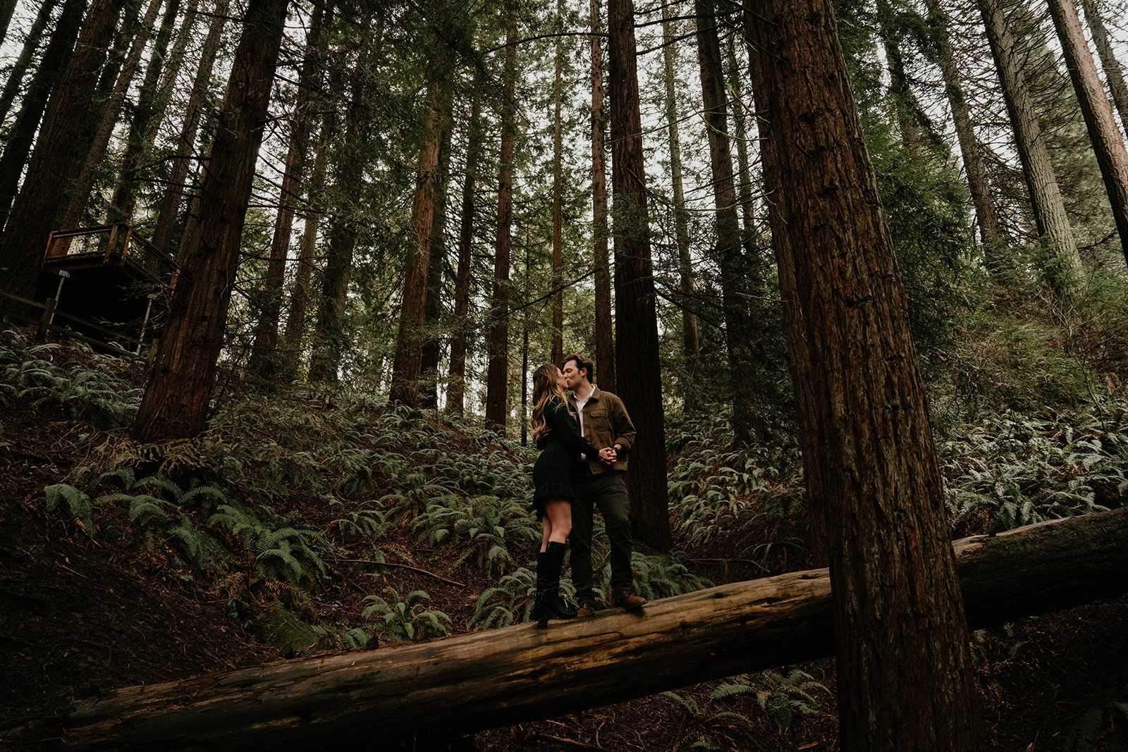 Couple kisses on a fallen tree during their Oregon engagement photo session at Hoyt Arboretum