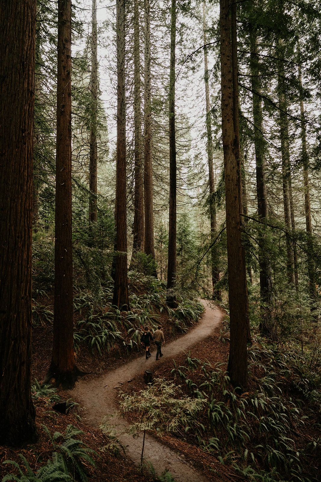 Couple holds hands while walking down a forest path at their Oregon engagement photo location 