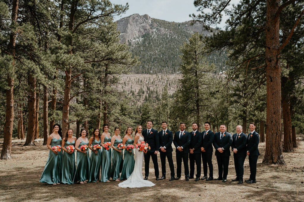 The bride and groom posing with their bridesmaids and groomsmen.