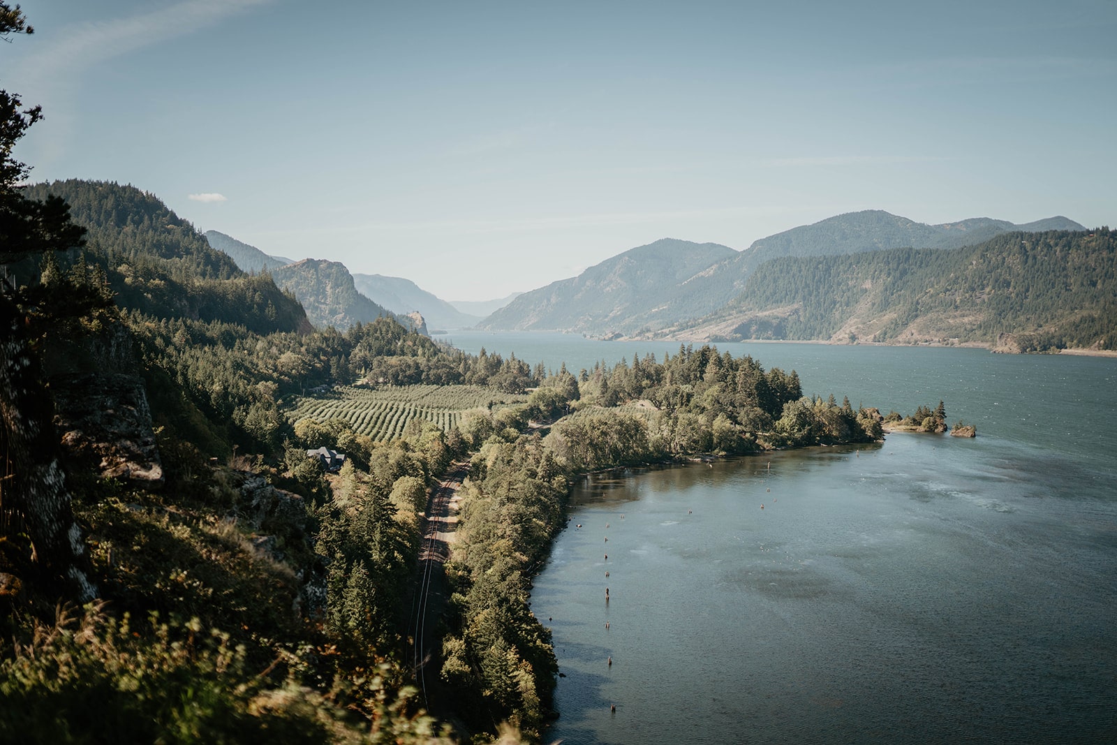 The Columbia River Gorge from a high vantage point.