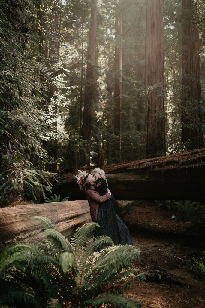 the newlyweds kissing surrounded by redwood trees. 