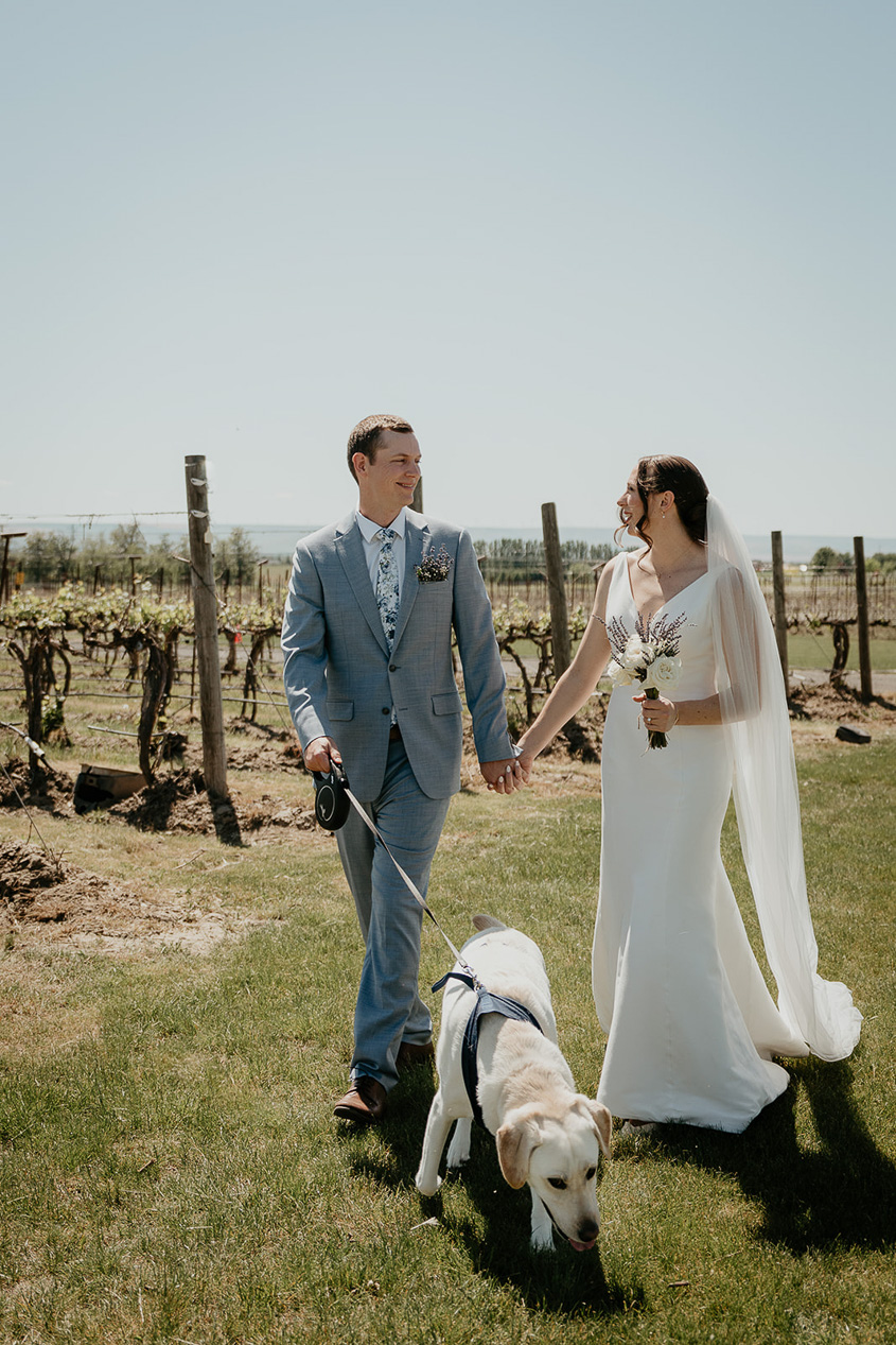 the bride and groom walking around Dusted Valley with their dog. 