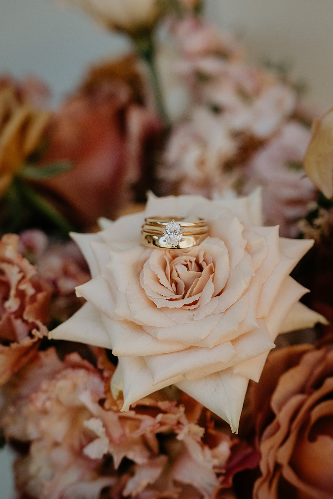 Gold wedding bands sit on top of a light pink rose