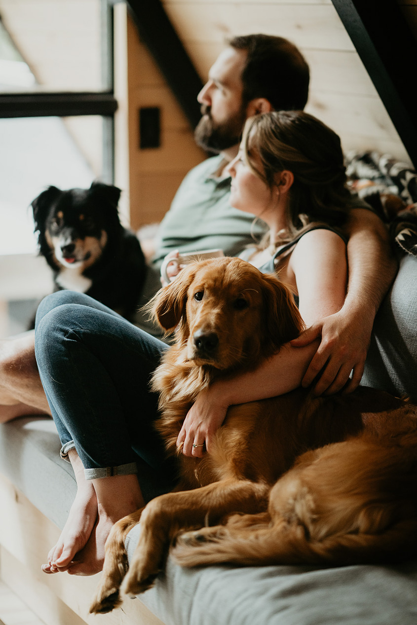 A couple sitting on a coach in a cabin with their two dogs.