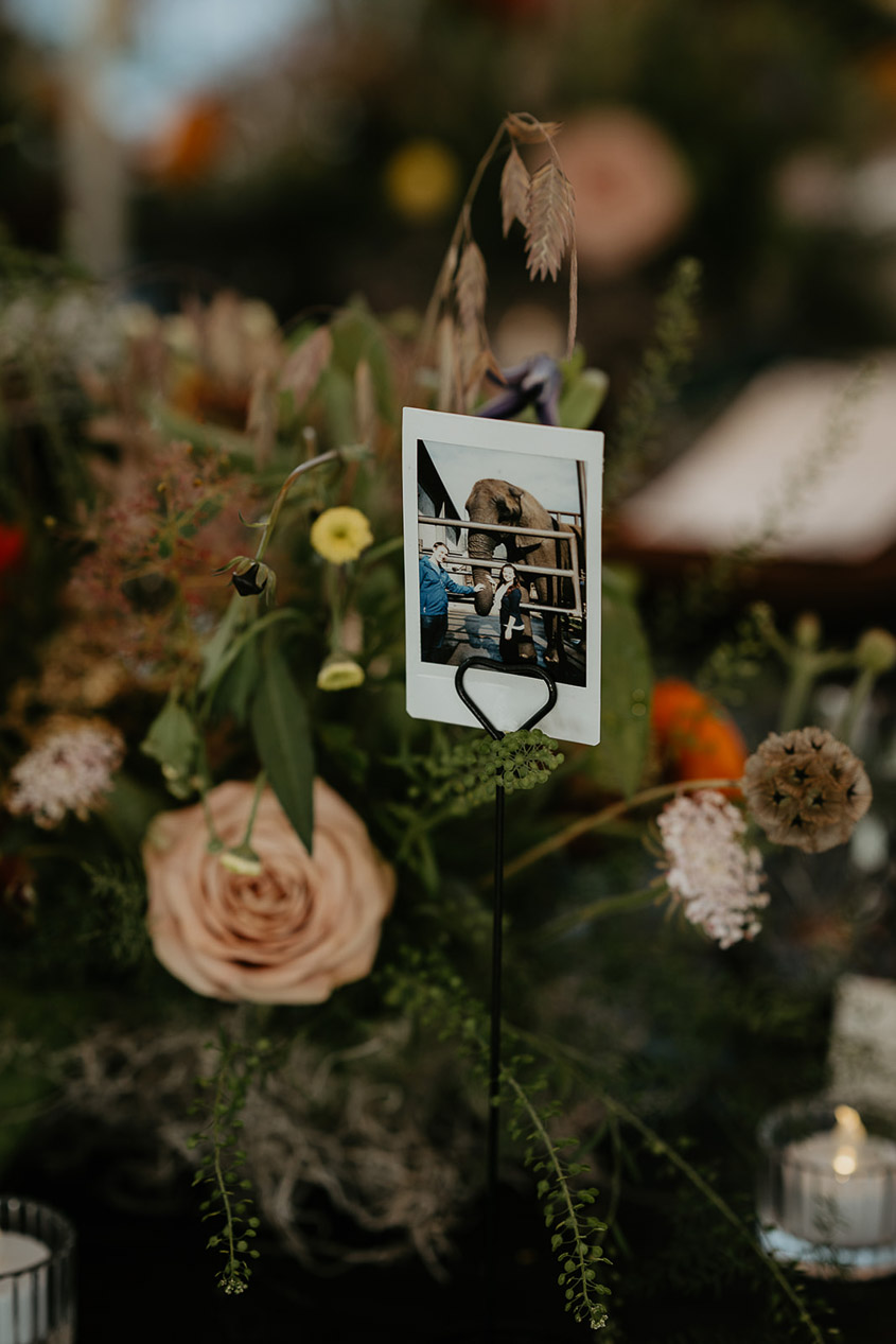 a polaroid picture of a couple with flowers in the background.