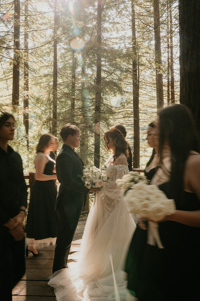 the wedding party walking by the married couple at Hoyt Arboretum.
