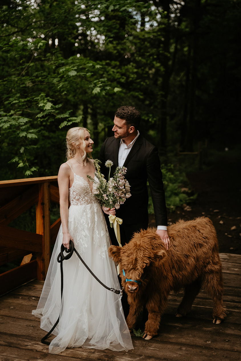 newlyweds on a bridge smiling and holding a cow during their Highland Farms wedding venue.