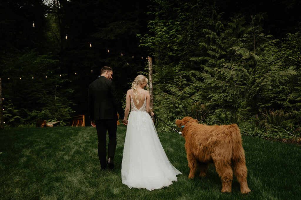 newlyweds walking through a grassy forest with a cow at the highland farms wedding venue.