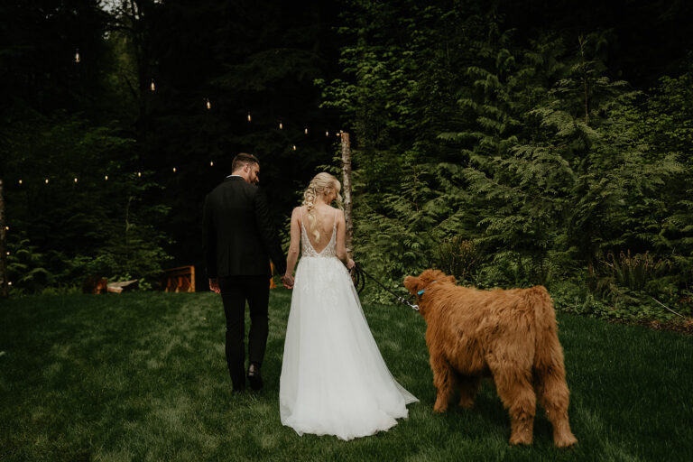 newlyweds walking through a grassy forest with a cow at the highland farms wedding venue.