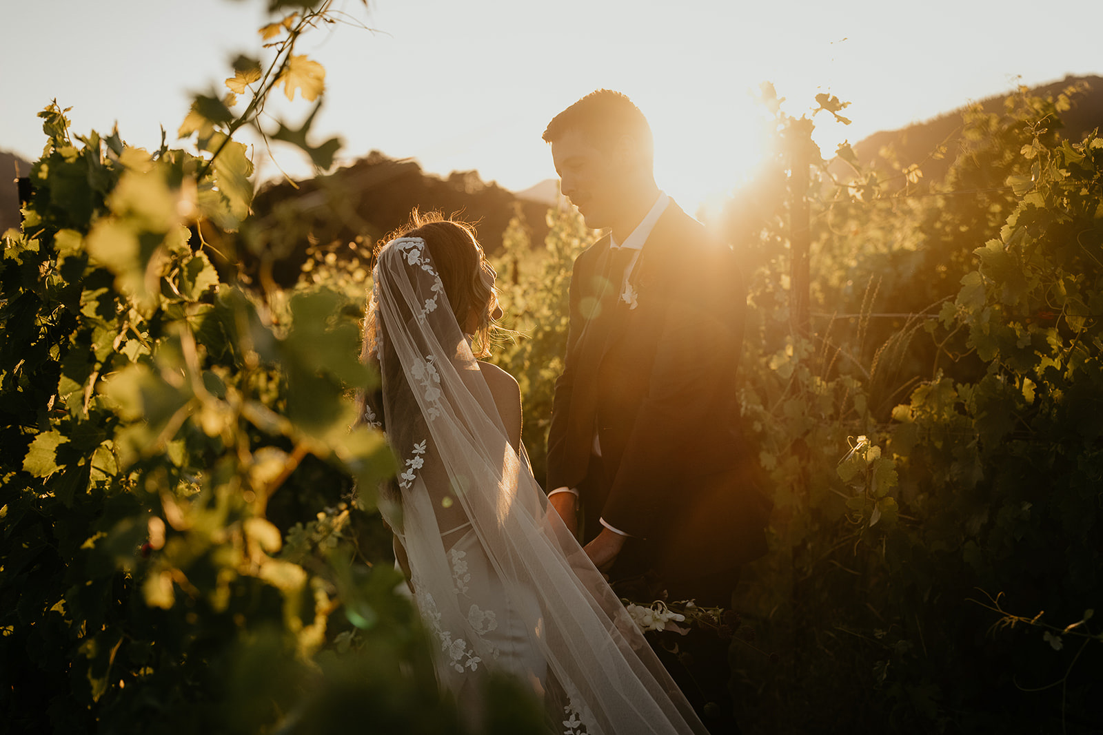 newlyweds surrounded by tall vineyards at sunset.