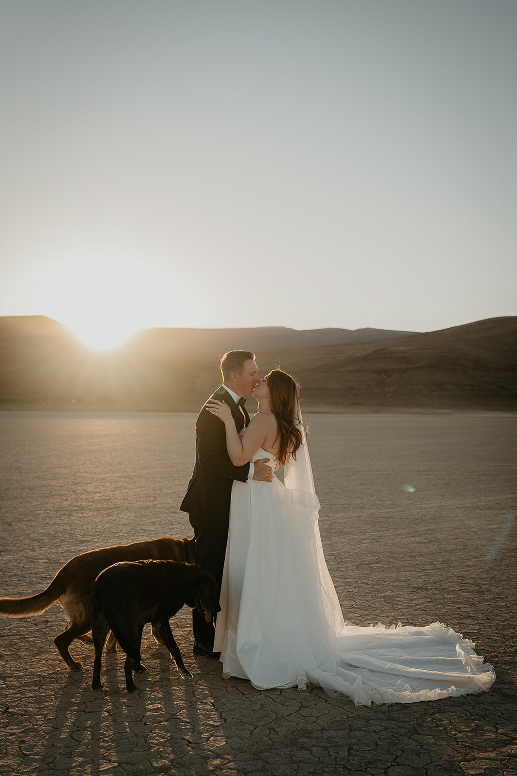 newlyweds kissing on a desert playa with their dogs during their Alvord Desert, Oregon elopement.