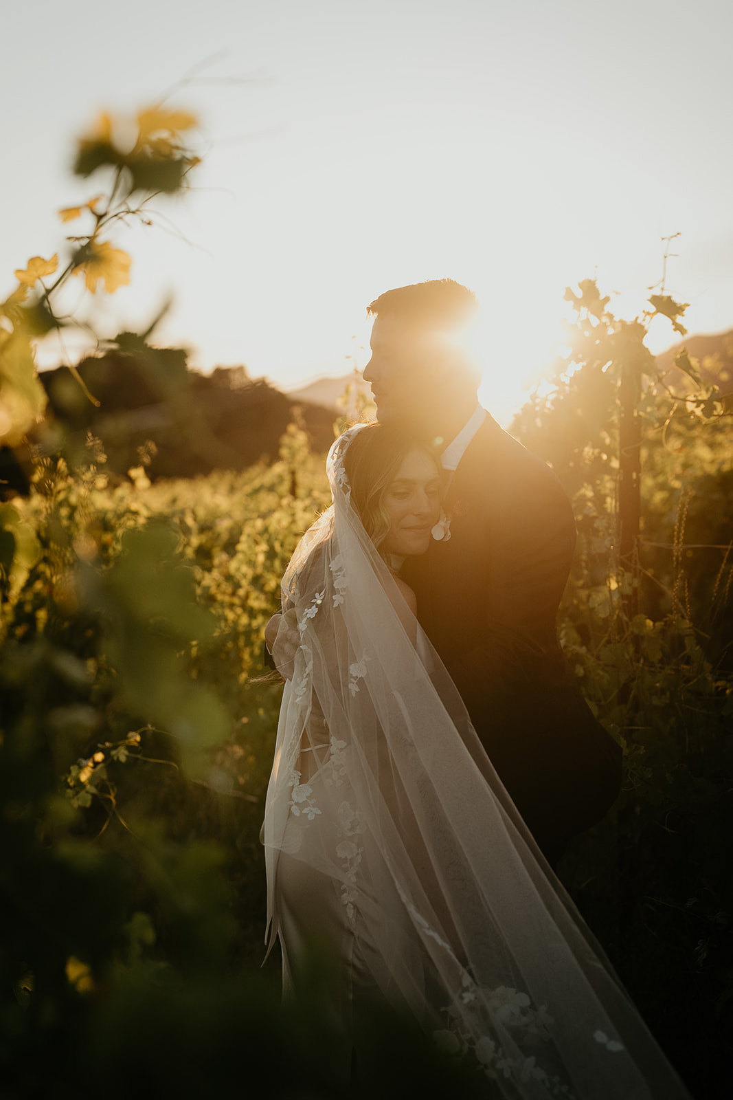 newlyweds hugging in a vineyard