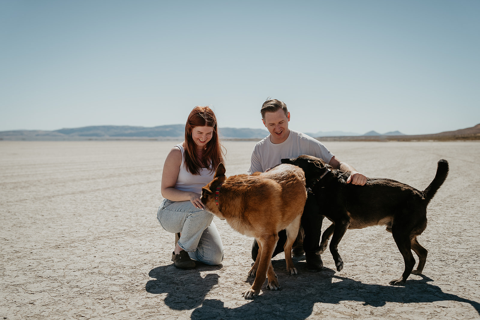 newlyweds petting their dogs on a desert playa