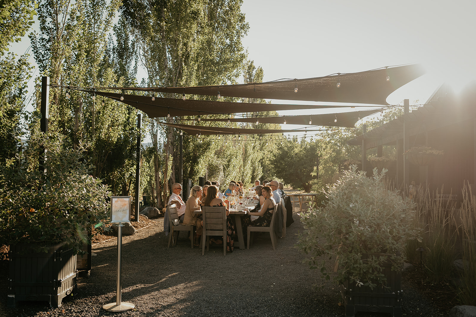 newlyweds and their guests enjoying a meal at a vineyard.