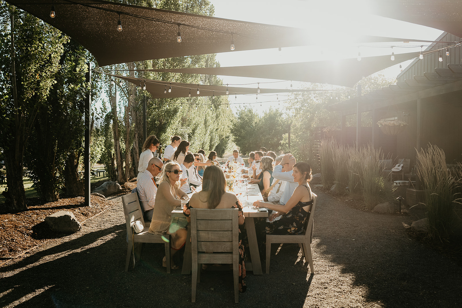 wedding guests enjoying a meal at a vineyard.