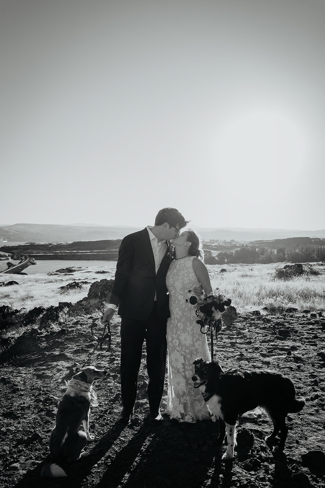 newlyweds kissing and holding their dogs at a viewpoint during their Columbia River Gorge elopement.
