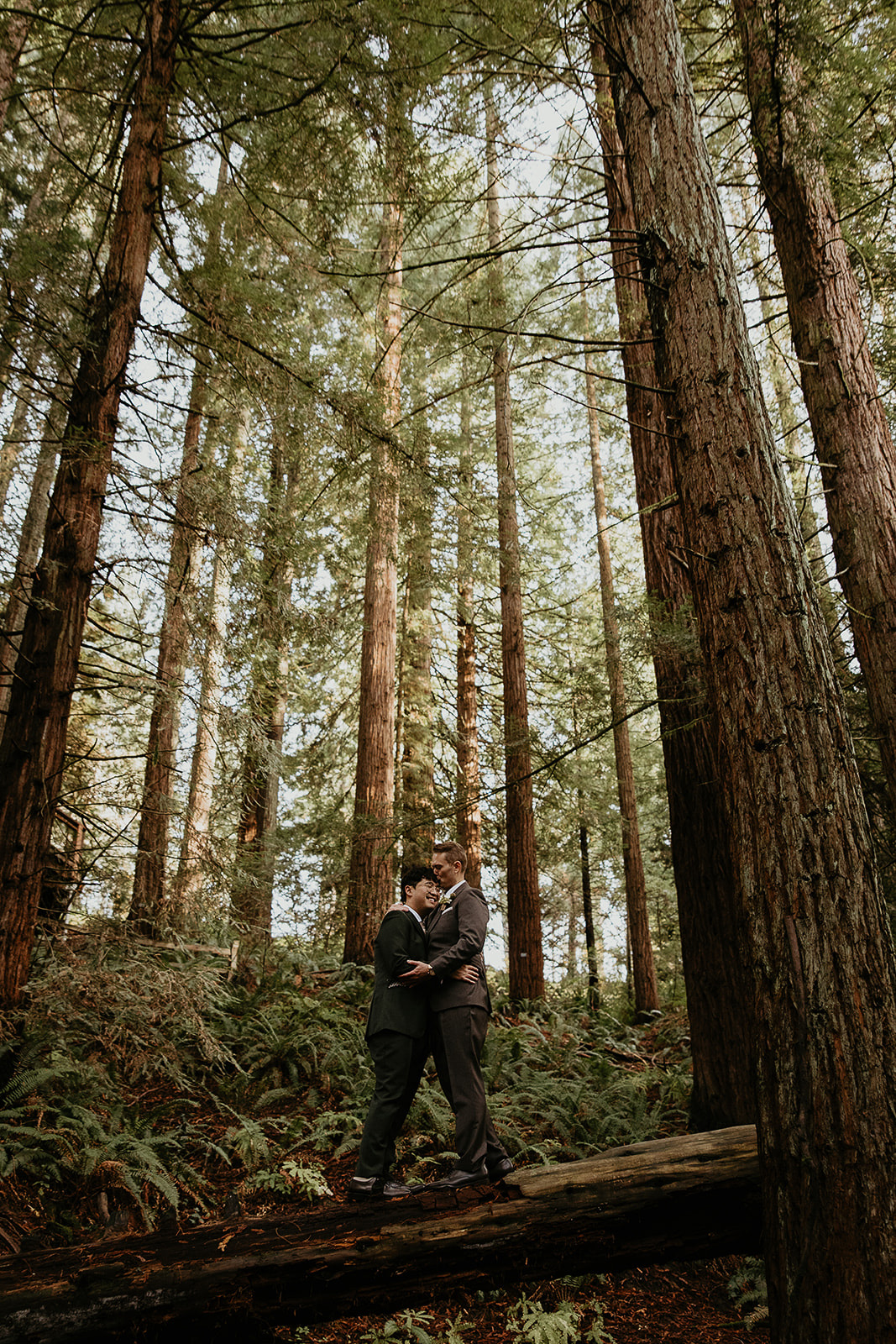 newlyweds hugging while standing on a log during their forest elopement in Oregon.