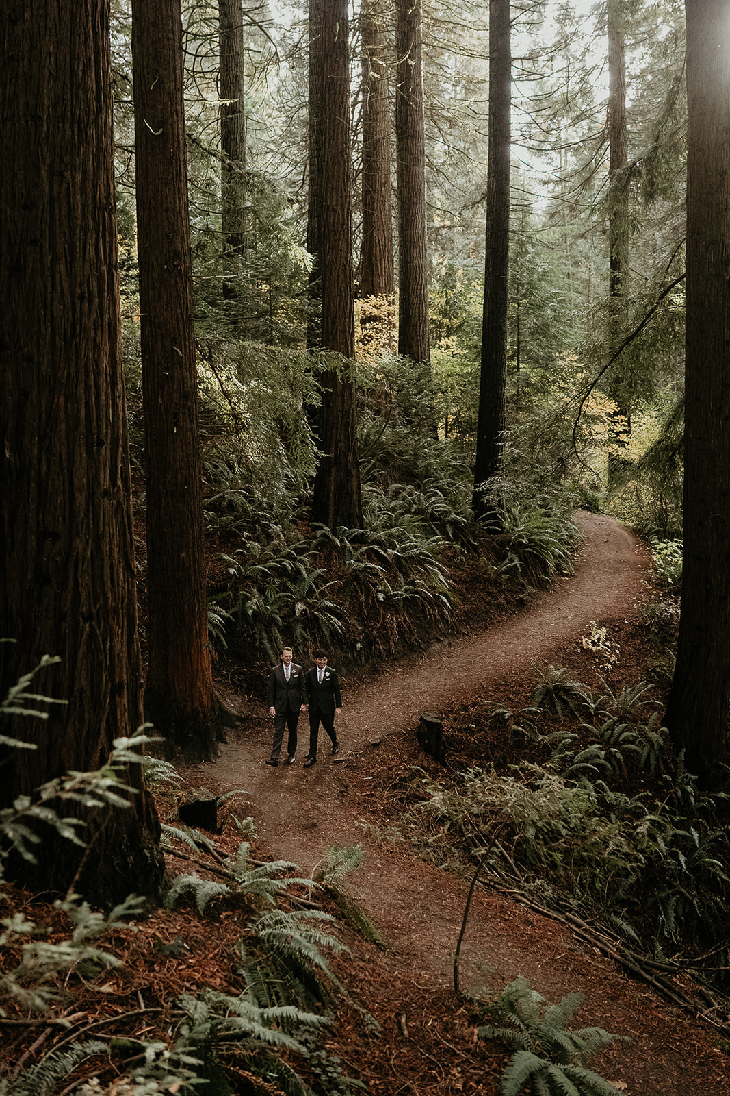 newlyweds holding hands walking on a trail during their forest elopement in Oregon.