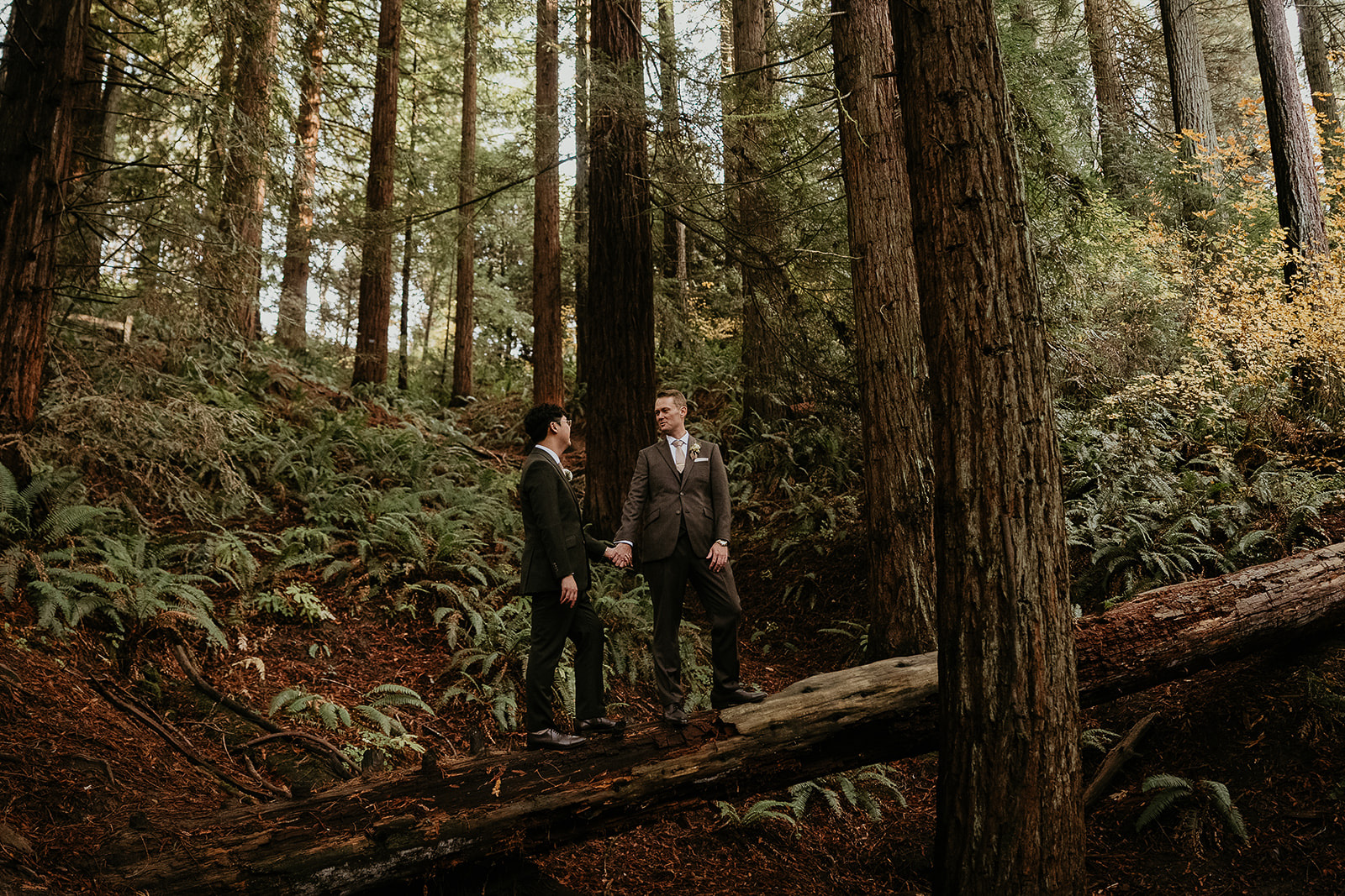 newlyweds holding hands standing on a fallen log during their forest elopement in Oregon.