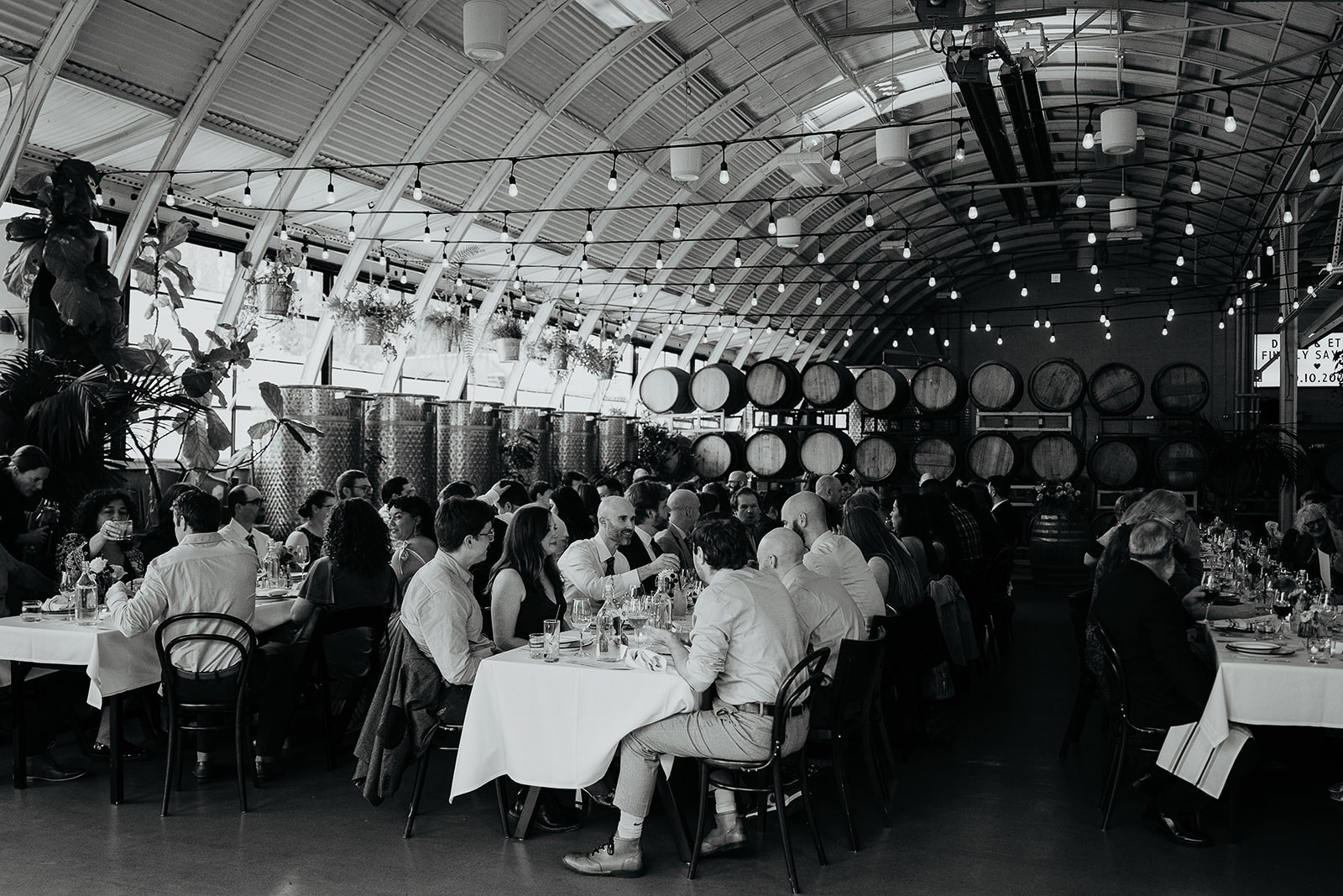 wedding guests enjoying a meal.
