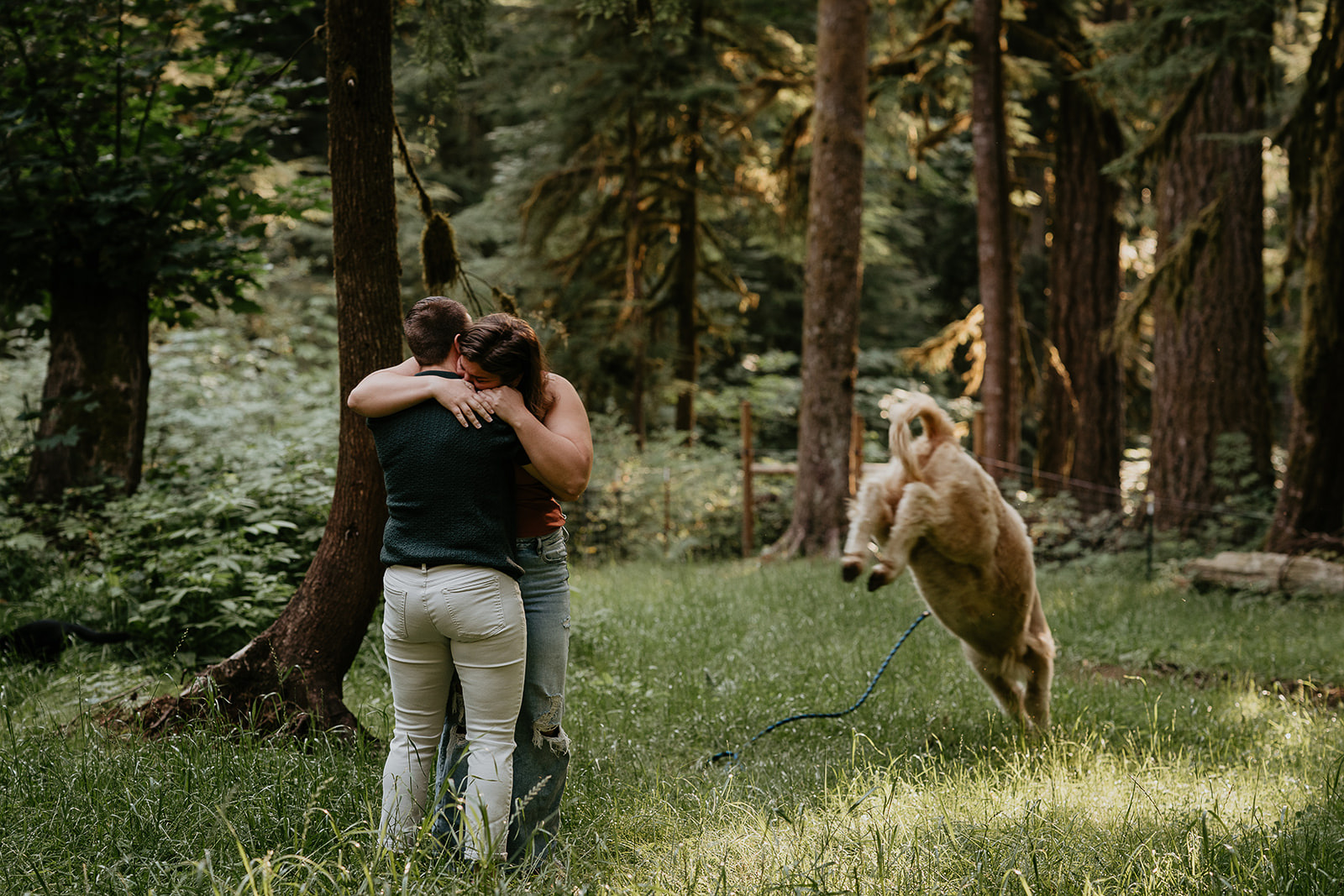 couple hugging after getting proposed to, with a cow jumping in the background, and using the cow to deliver the ring, one of the ways to propose. 