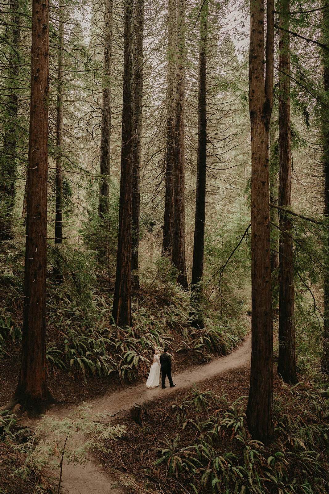 Bride and groom portraits at forest wedding in Oregon