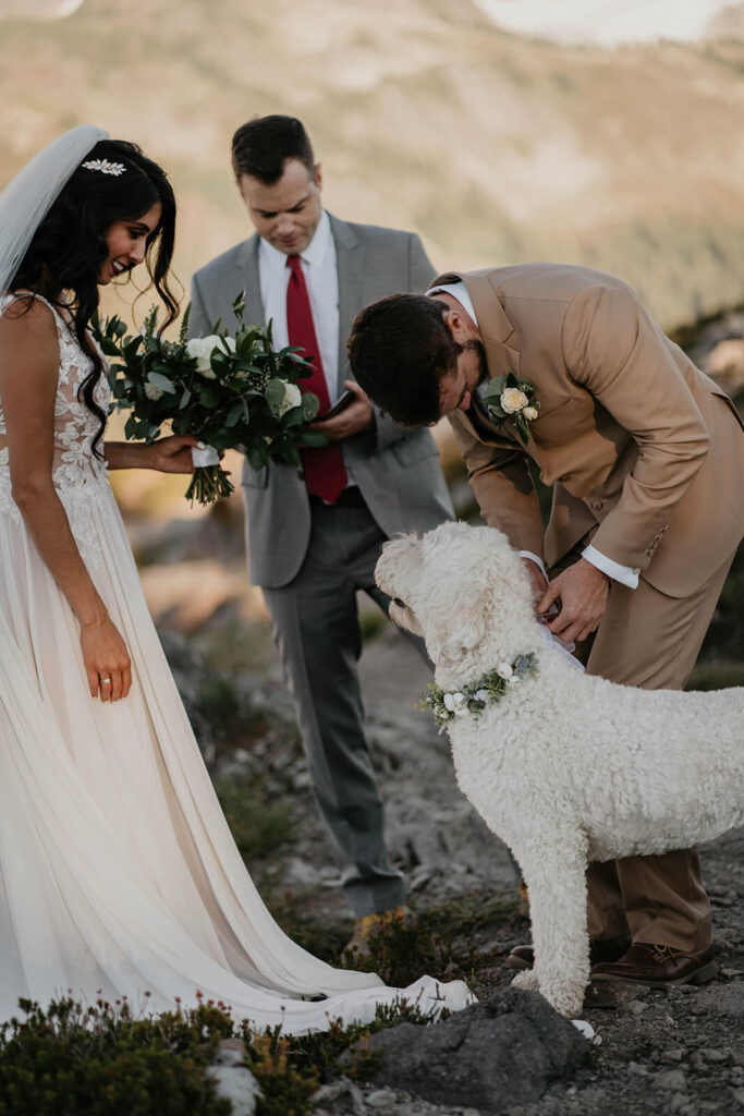 Groom taking rings from golden doodle's collar during hiking elopement