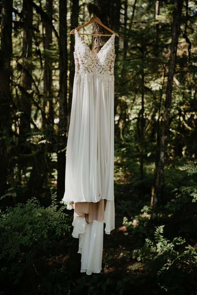 White wedding dress hanging from a tree in the North Cascades