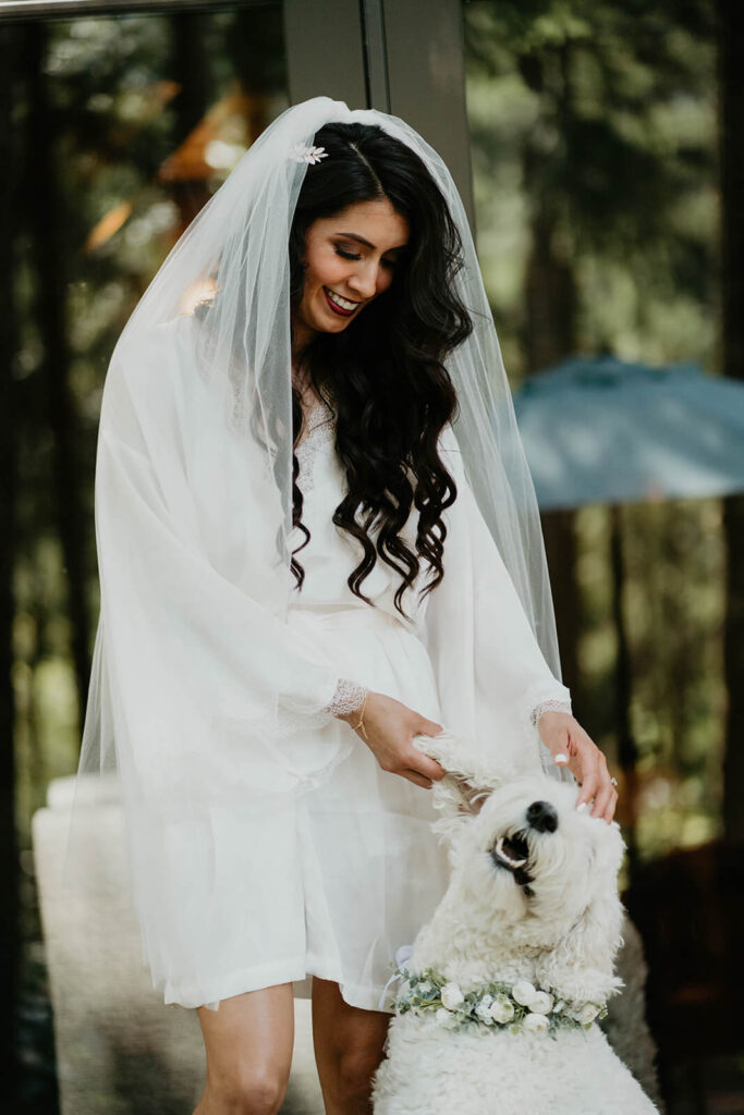 Bride wearing veil and robe petting golden doodle 