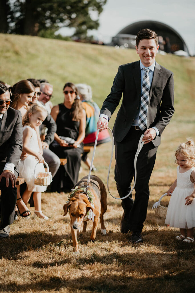 Bride and groom's dog walking down the aisle at romantic wedding at Pemberton Farm