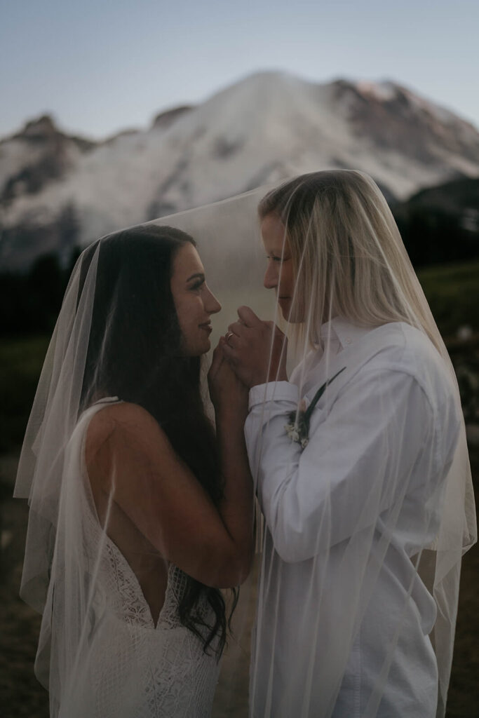 Two brides holding hands under wedding veil