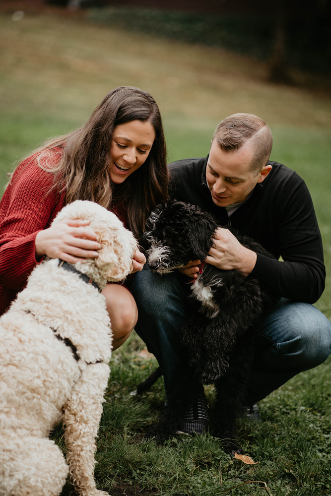 An engaged couple petting their two dogs at the Jenkins Estate. 