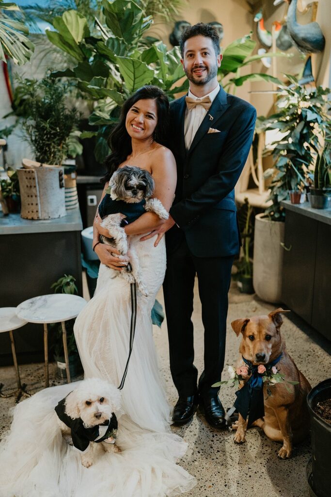 Bride and groom take photos with their three dogs at their Blockhouse Portland wedding