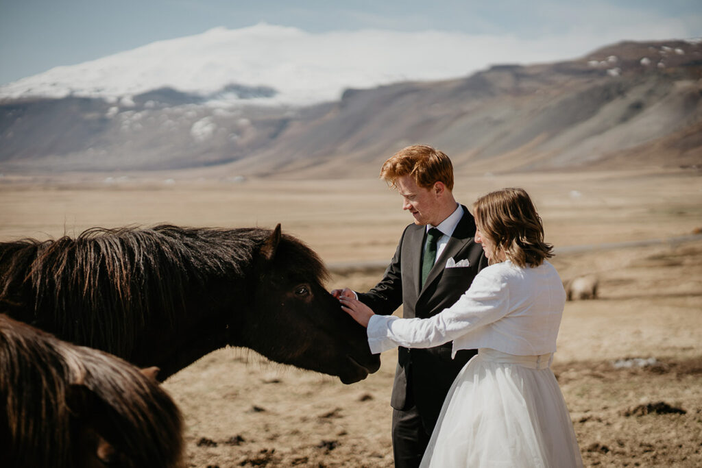 A bride and groom petting a horse during their Iceland Elopement. 