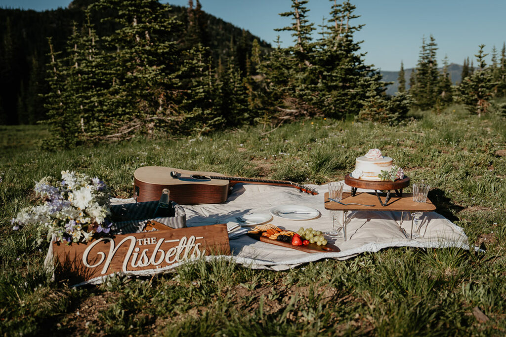 A picnic including a guitar, wedding cake, and charcuterie spread. 