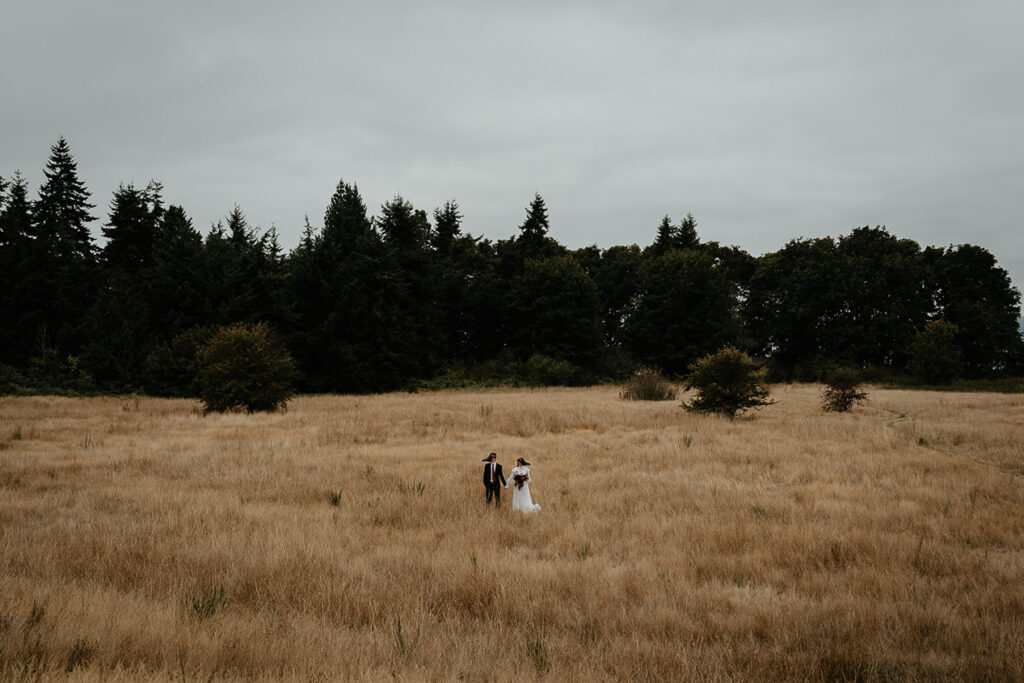 A couple wearing bird masks holding hands standing in an open field. 