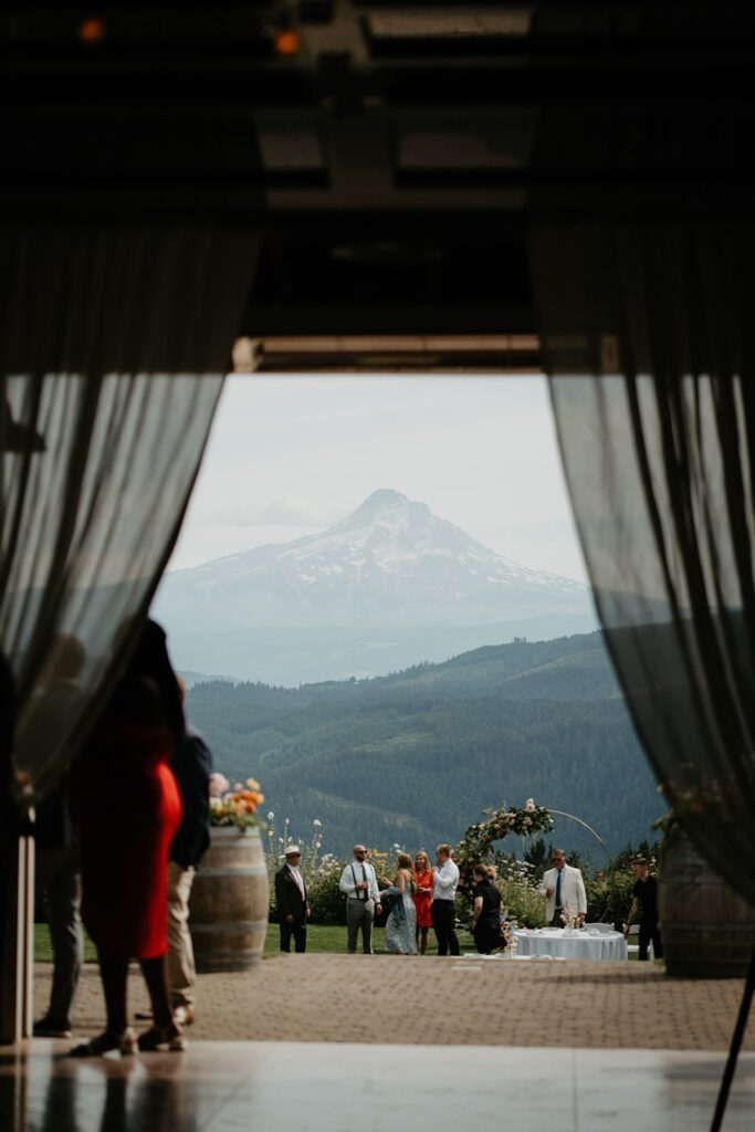 View of Mt Hood from Gorge Crest Vineyards