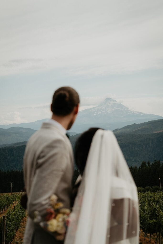 Bride and groom look out over Mt Hood during their Gorge Crest Vineyards wedding
