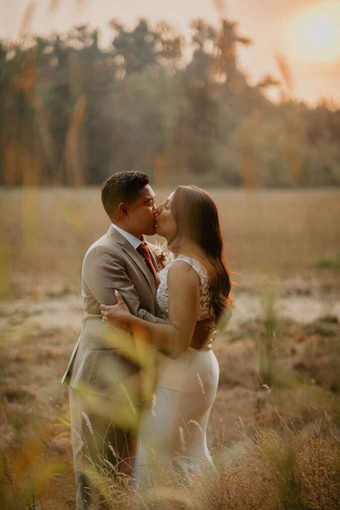 The couple kissing in a golden field at sunset. 