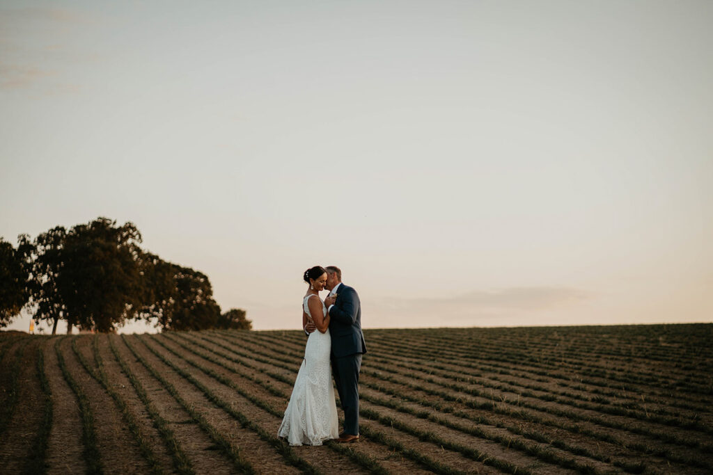The bride and groom kissing on Abbey Road farmland at sunset. 