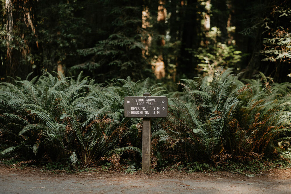 A trail marker in Northern California. 