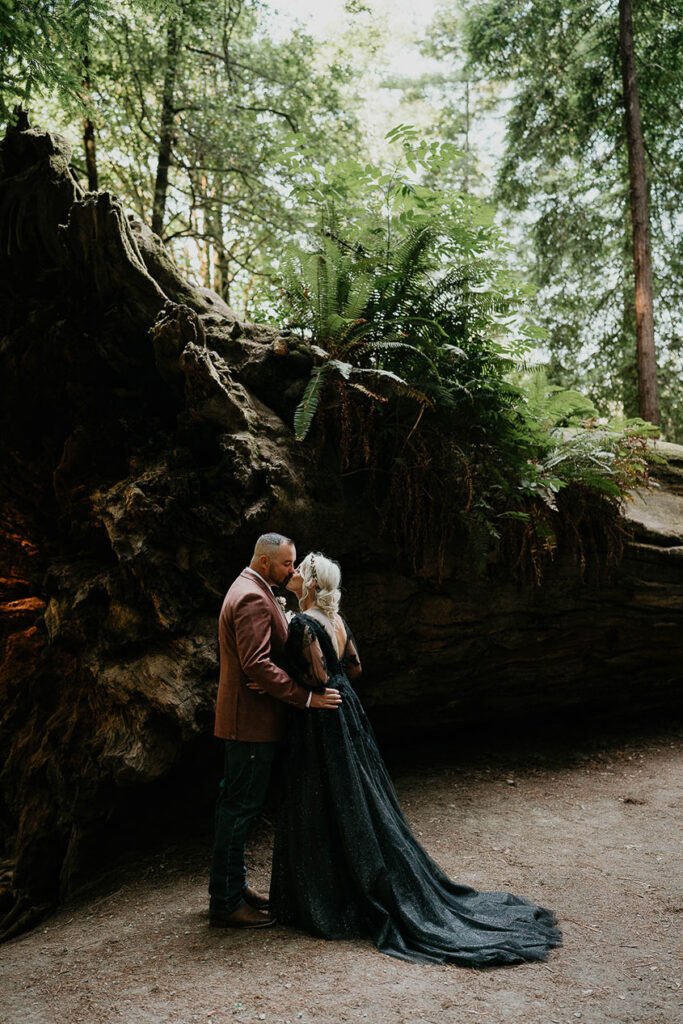 a couple kissing with a large redwood tree behind them. 