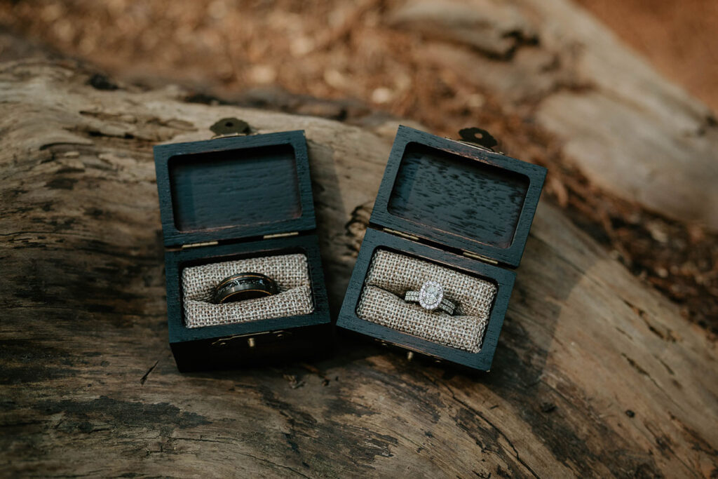two wedding rings on a redwood tree. 