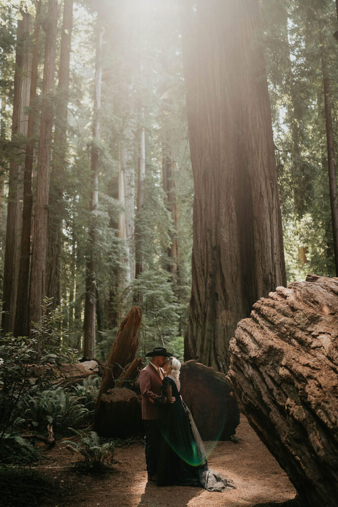 the newlyweds kissing surrounded by redwood trees. 