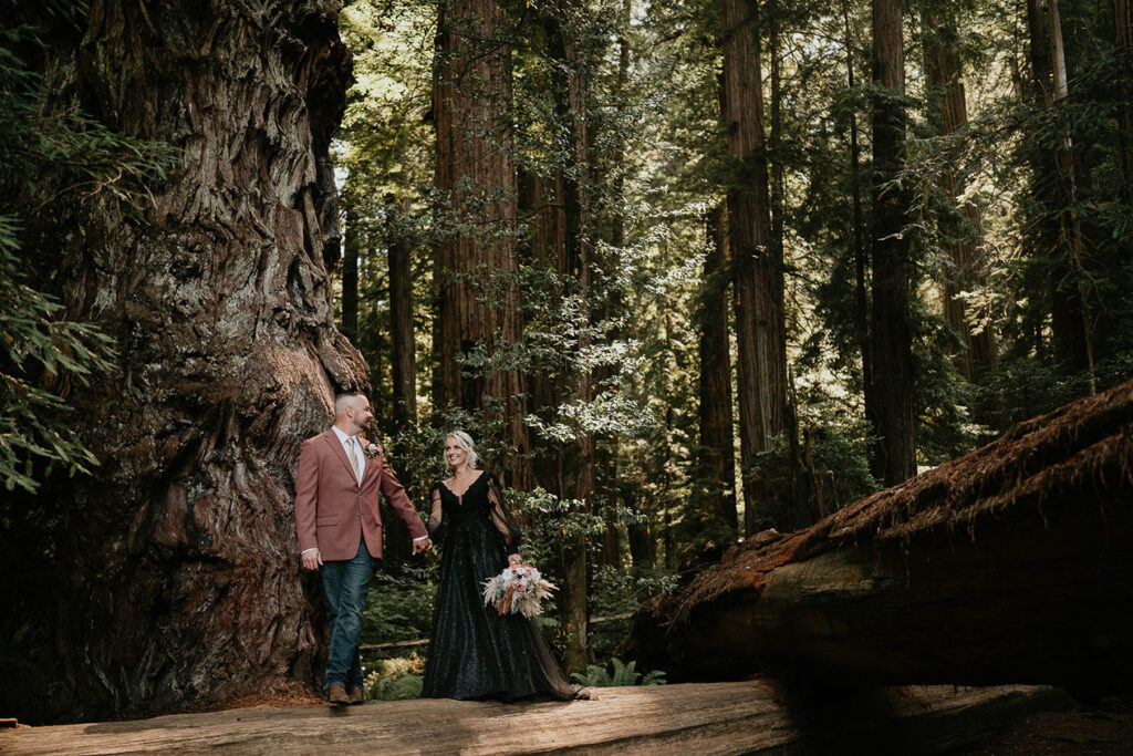 the newlyweds walking on a fallen tree trunk during their redwoods elopement. 