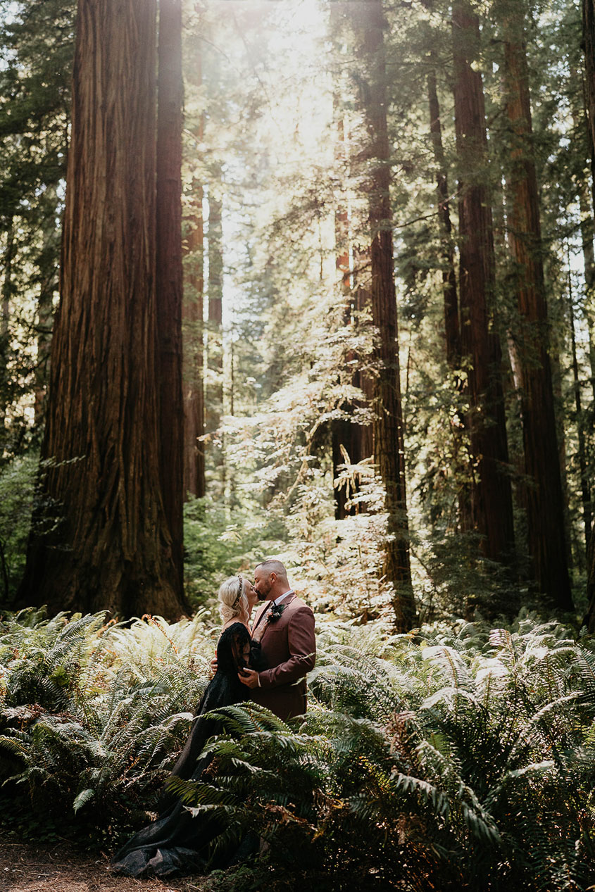 A couple kissing under the Redwoods.