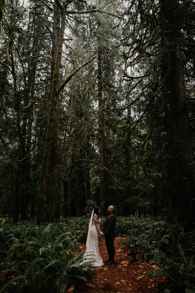 Bride and groom hold hands in the Hoh Rainforest during their Washington elopement ceremony